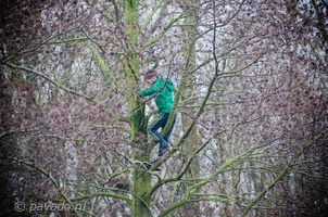 Pekkercross2016-37