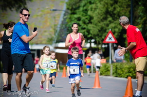 Ganzenvenloop2016-11