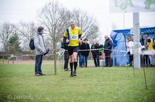 DJA-cross2016-182