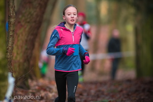 Pagnevaartcross2018-6781