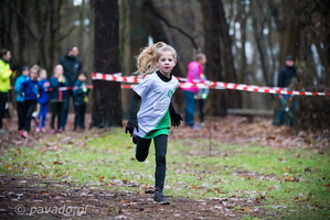 Achillescross2019-3114
